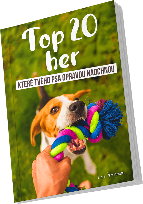 Bonusová e-kniha: Top 20 her